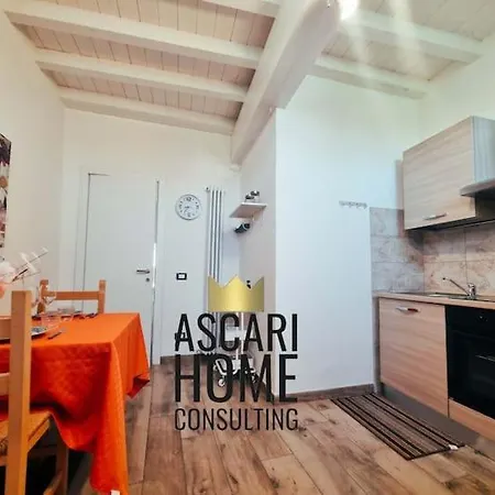 Ascari Daire *